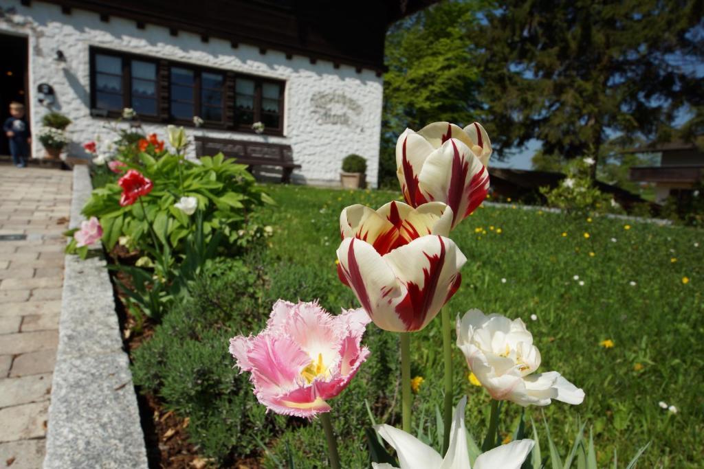 Gaestehaus Funk Bad Feilnbach Luaran gambar
